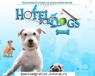 hotel for dogs (2009) hotel for dogs cam xvid