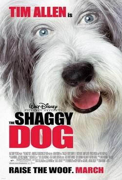 the shaggy dog code:code: