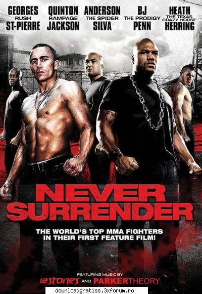 never surrender (2009) release group: name: date: ntsc dvd5size: 699.93 action xvid 576 320 982 kbps