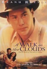 A walk in the clouds DVD RIP - After returning from the war, Paul and a young - Filme