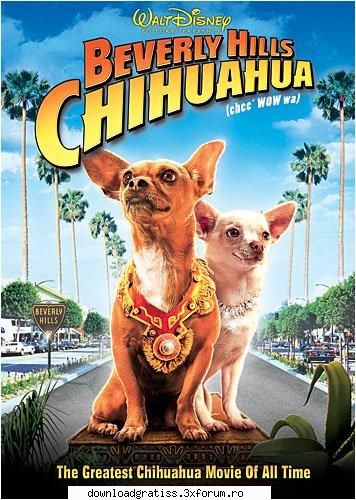 Beverly Hills Chihuahua DVDRip XviD-Larceny - Beverly Hills Chihuahua DVDRip XviD-Larceny INFO - Filme