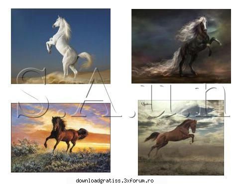 Wallpapers Horses 1024x JPEG) - volcana23 - wallpapers&icons